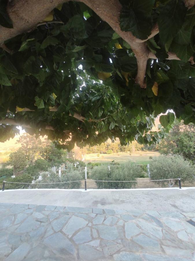 House Moschα Villa Ándros Kültér fotó