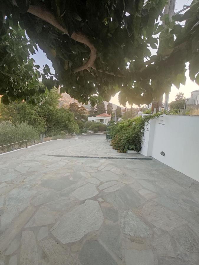 House Moschα Villa Ándros Kültér fotó