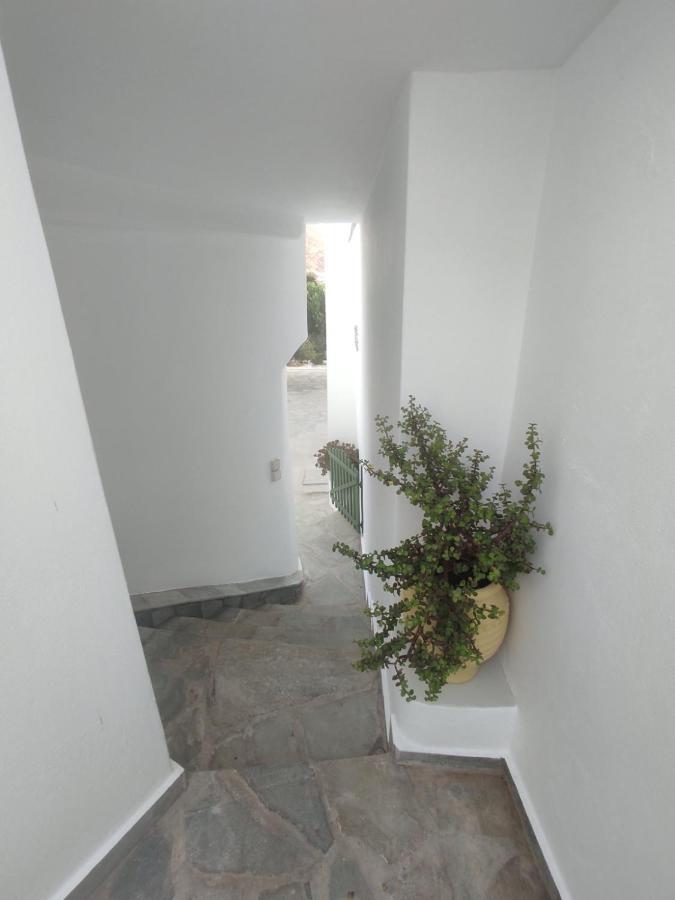 House Moschα Villa Ándros Kültér fotó